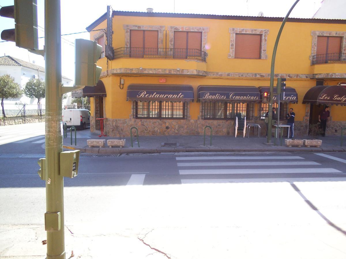 Hostal Los Galgos Yepes المظهر الخارجي الصورة